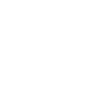 Bumble Bay-BEE